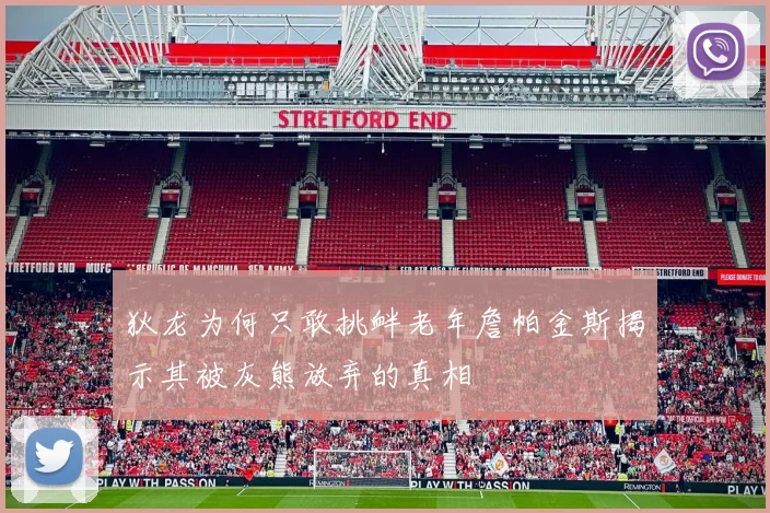 狄龙为何只敢挑衅老年詹帕金斯揭示其被灰熊放弃的真相